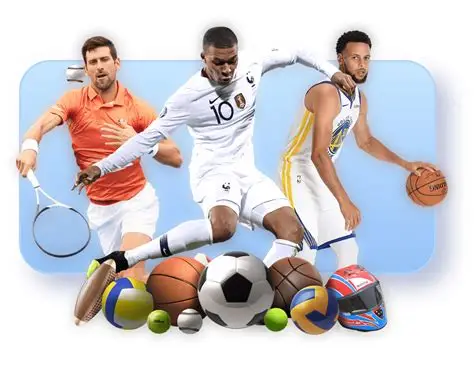 星空体育(中国)官方网站_StarrySky Sports