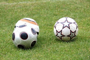 xingkong app-中国足球俱乐部资金投入对青训营产出的回报率，中国足球俱乐部怎么盈利